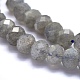 Natural Labradorite Beads Strands G-O170-59C-3