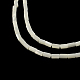 Колонна нитей бусин из натуральной троховидной раковины SSHEL-F290-26-1