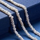 Fili di perle di perle d'acqua dolce coltivate naturali X-PEAR-I004-07A-5