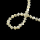 Brins de perles de coquillage trochid naturel / coquillage trochus SSHEL-F290-15-2