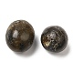 Perles naturelles de labradorite G-O188-01-4
