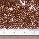 MIYUKI Round Rocailles Beads X-SEED-G007-RR0005-4