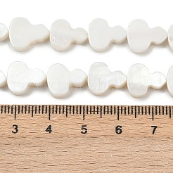 Hebras naturales de cuentas de concha de agua dulce&nbsp;SHEL-K010-02B