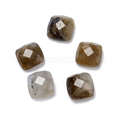 Natürliche gemischte Edelstein-Cabochons&nbsp;X-G-D058-03B