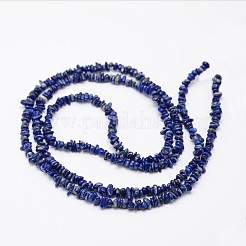 Chips natürliche Lapislazuli Perlen Stränge&nbsp;X-G-N0164-46