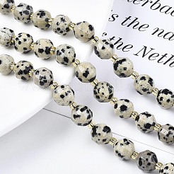 Chapelets de perles en jaspe dalmatien naturelle&nbsp;X-G-N326-100-02
