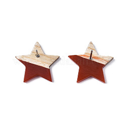 Clous d'oreilles en résine et bois&nbsp;EJEW-N017-001A-C04