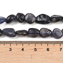 Naturperlen Stränge iolite&nbsp;G-C271-01