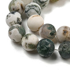 Arbre naturel agate agate dépoli perles de pierres précieuses rondes brins&nbsp;X-G-O151-01-8mm