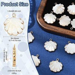 10 pieza de colgante de concha de agua dulce natural galvanizada&nbsp;SHEL-CJ0001-39