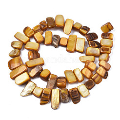 Fili di perle di conchiglia trochid naturale / trochus&nbsp;SHEL-S258-082-B09