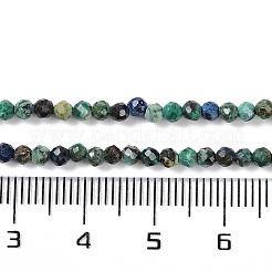 Chapelets de perles en chrysocolle et lapis lazuli naturelles&nbsp;X-G-P542-A03-02