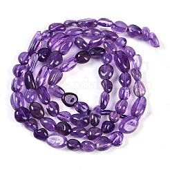 Natürlichen Amethyst Perlen Stränge&nbsp;G-P497-01B-19