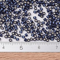 Perline miyuki delica&nbsp;X-SEED-J020-DB2191