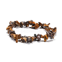 Tigerauge Chips dehnen Armbänder&nbsp;BJEW-JB01308-02