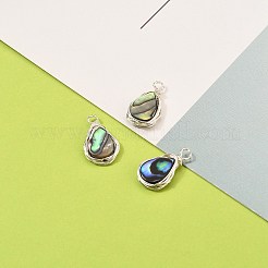 Natürliche Abalone Muschel / Paua Muschel Anhänger&nbsp;X-PALLOY-JF00477-02