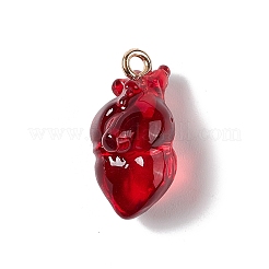 Pendentifs en résine transparente&nbsp;RESI-E028-01G-M