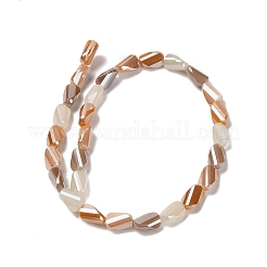 Abalorios de vidrio electroplate hebras&nbsp;EGLA-P065-01A-03