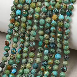 Natur hubei türkisfarbenen Perlen Stränge&nbsp;G-P629-A04-03