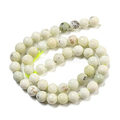 Fili di perline di diaspro naturale dendritico&nbsp;G-E571-A05-02