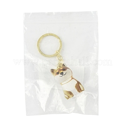 Portachiavi in plastica di ferro&nbsp;LS-KEYC-FZC0001-001B-G