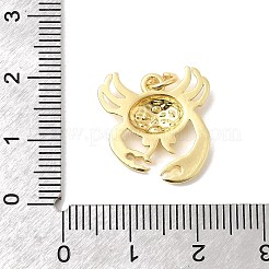 Messing Anhänger & Charms&nbsp;KK-P343-04G