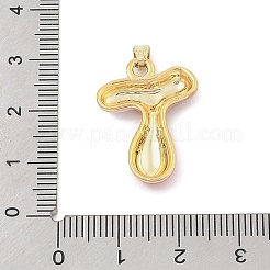 Pendentifs d'émail en alliage&nbsp;ENAM-S023-01G-T