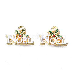 Gestell Legierung Emaille Anhänger&nbsp;X-ENAM-N055-140
