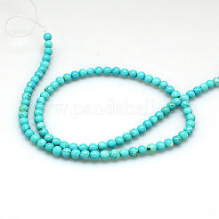 Fili di perline di magnesite naturale&nbsp;TURQ-P027-69-8mm