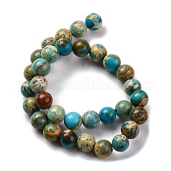Gefärbte natürliche Regalit/Imperial Jaspis/Meeressediment Jaspis Perlen Stränge&nbsp;G-B124-C02-06