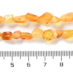Naturbernsteinperlen Stränge&nbsp;G-P497-01C-04