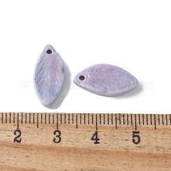 Natürliche Regenbogen-Alashan-Achat-Anhänger&nbsp;G-G194-03