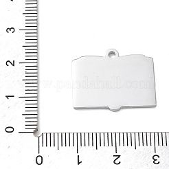 Colgantes de acero inoxidable 304&nbsp;SA-CBAE115-17P
