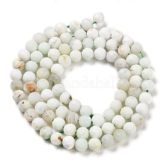 Chapelets de perles en opale vert naturel&nbsp;G-Z035-A02-03D
