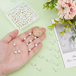 150pcs pendentifs en perles d'imitation en plastique abs&nbsp;SACR-HY0001-10