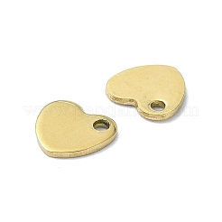 Breloques en acier inoxydable avec placage ionique (IP) 201&nbsp;STAS-H191-01A-G