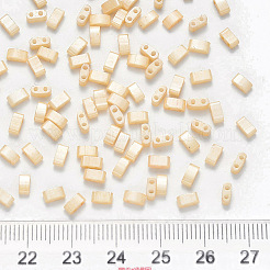 Perles de verre à peinture cuite à 2 trou fgb&nbsp;SEED-S031-M-593