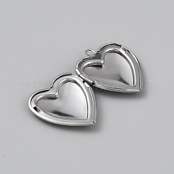 Pendentifs médaillons en acier inoxydable chirurgical 316&nbsp;STAS-WH0044-75P