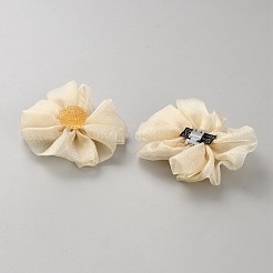 Legierung Schuhschnalle Clips&nbsp;AJEW-WH0542-69B
