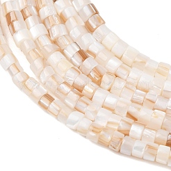 Naturali di acqua dolce perline shell fili&nbsp;SHEL-K006-72A