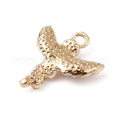 Pendentifs d'émail en alliage&nbsp;ENAM-WH0061-39B