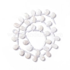 Hebras de cuentas de piedra lunar arco iris natural&nbsp;G-G805-B16