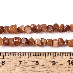 Hebras naturales de cuentas de concha de agua dulce&nbsp;SHEL-N037-04C