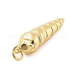 Messing Anhänger & Charms&nbsp;KK-L209-084G