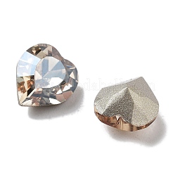 K9 Glas Strass Cabochons&nbsp;GLAA-H034-02B-001GS