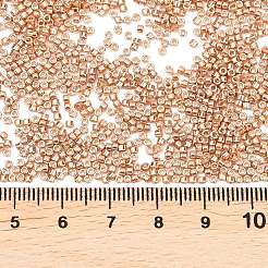 Perles miyuki delica&nbsp;X-SEED-J020-DB2518