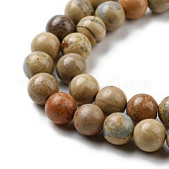 Chapelets de perles en jaspe aqua terra naturel&nbsp;G-E444-14B-10mm