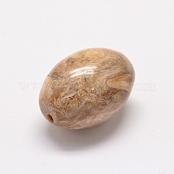 Natürliche versteinerte Holzperlen&nbsp;G-P076-34B