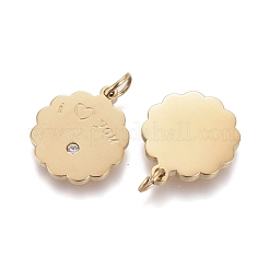 Dijes de acero inoxidable quirúrgico 316 para el día de San Valentín&nbsp;STAS-I164-038G