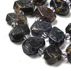 Perles naturelles Iolite brins&nbsp;G-G072-A06-03
